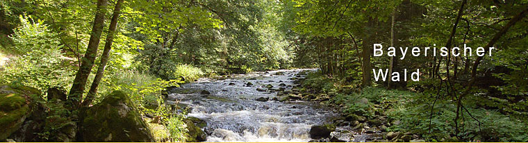 Freizeitangebot im Bayerischen Wald